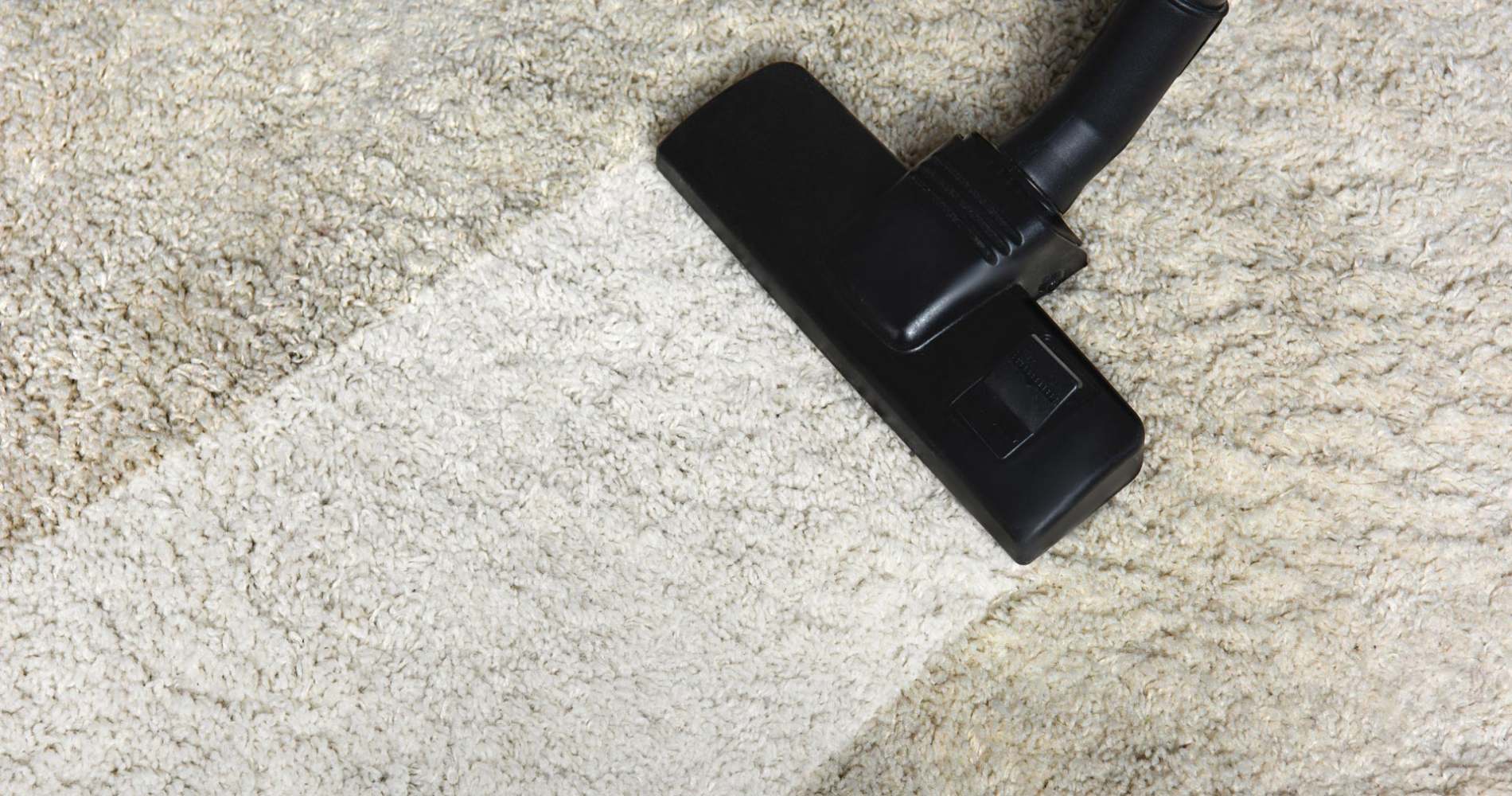 Carpet Cleaning in Brighton and Sussex