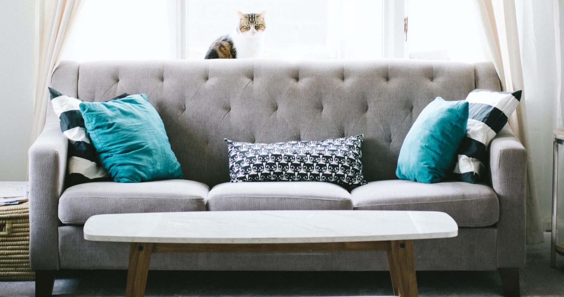 Upholstery Cleaning in Brighton and Sussex