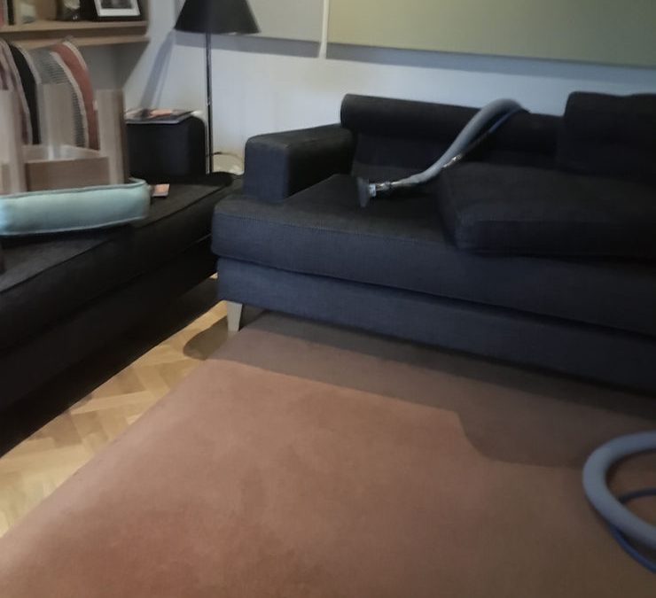 Sofa and carpet cleaning in Lewes