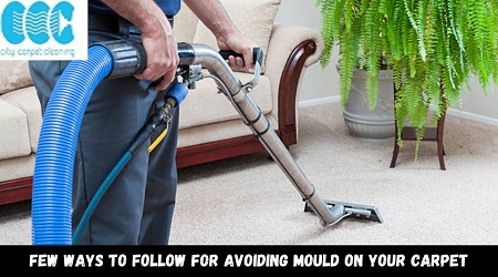 Few Ways to Follow for Avoiding Mould on Your Carpet