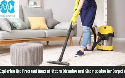 Exploring the Pros and Cons of Steam Cleaning and Shampooing for Carpets