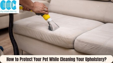 How to Protect Your Pet While Cleaning Your Upholstery?