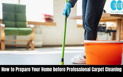 How to Prepare Your Home before Professional Carpet Cleaning