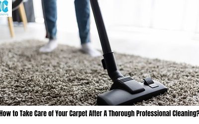 How to Take Care of Your Carpet After A Thorough Professional Cleaning?