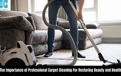 The Importance of Professional Carpet Cleaning For Restoring Beauty and Health