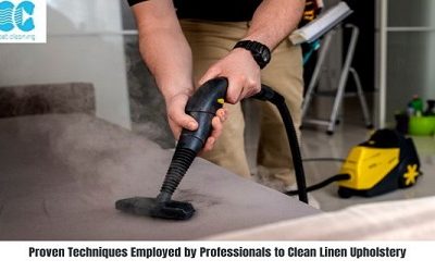 Proven Techniques Employed by Professionals to Clean Linen Upholstery