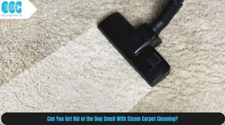 Can You Get Rid of the Dog Smell With Steam Carpet Cleaning?