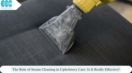 The Role of Steam Cleaning in Upholstery Care: Is It Really Effective?