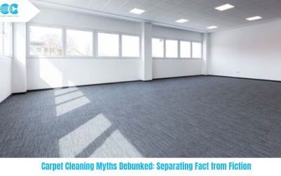 Carpet Cleaning Myths Debunked: Separating Fact from Fiction