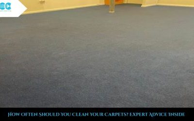 How Often Should You Clean Your Carpets? Expert Advice Inside