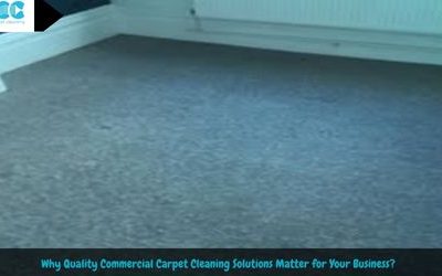 Why Quality Commercial Carpet Cleaning Solutions Matter for Your Business?