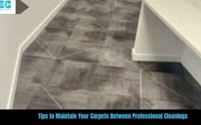 Tips to Maintain Your Carpets Between Professional Cleanings