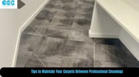 Tips to Maintain Your Carpets Between Professional Cleanings