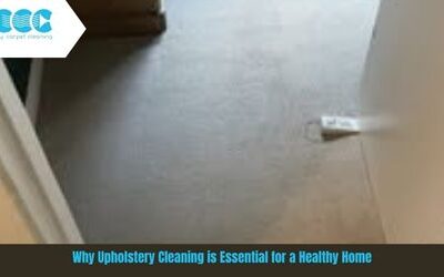 Why Upholstery Cleaning is Essential for a Healthy Home