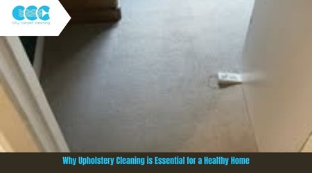 Why Upholstery Cleaning is Essential for a Healthy Home