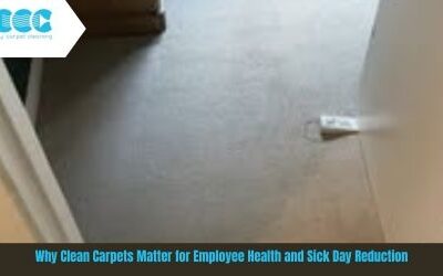 Why Clean Carpets Matter for Employee Health and Sick Day Reduction