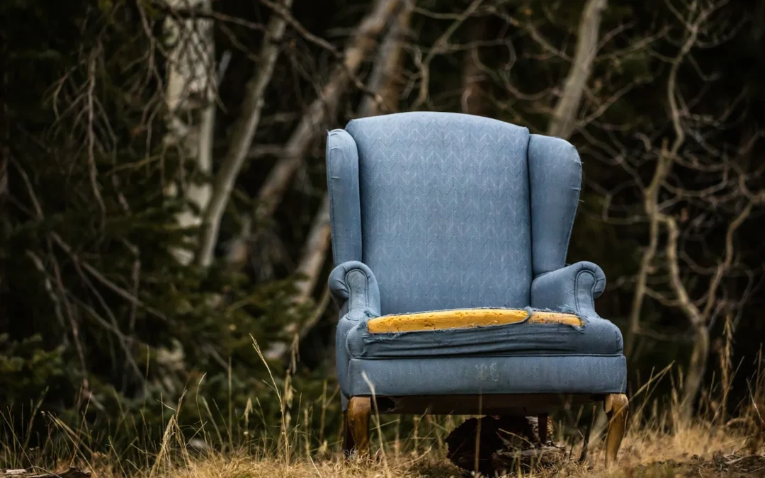 Affordable Upholstery Cleaning Brighton: Local 2026 Expert Guide