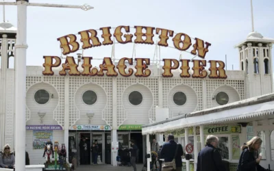 Local Carpet Cleaners Review Brighton: 2026 Guide & Testimonials